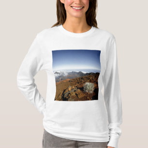 Camiseta Silversword no cume da cratera Haleakala de perto