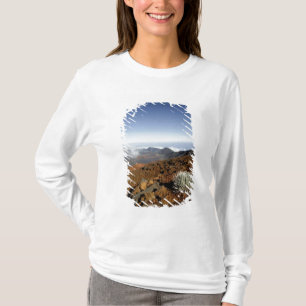 Camiseta Silversword no cume da cratera Haleakala de perto