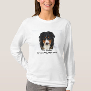 Camiseta Sim, este é um cão de montanha de Bernese!