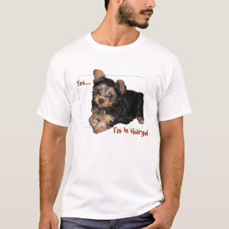 Camiseta Sim…, eu sou responsável!