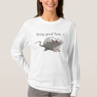 Símbolo do ano 2020, rato, animal, rato