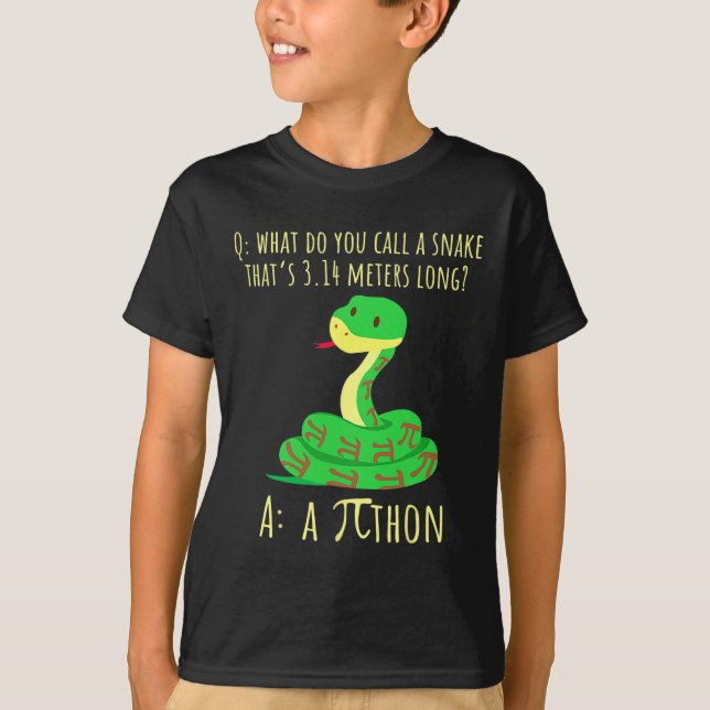 Camiseta Símbolo Pi Pithon Python engraçado professor de ma (Frente)