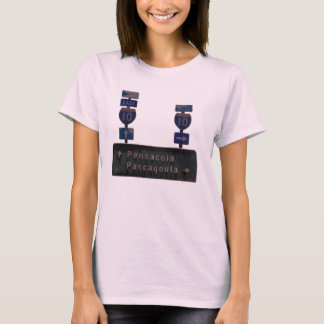 Camiseta Sinal da Flórida