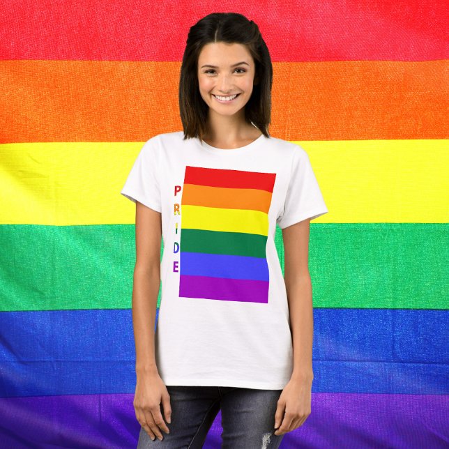 Camiseta Sinalizador arco-íris do orgulho LGBT (LGBT Pride Rainbow Flag White Womens T-Shirt)