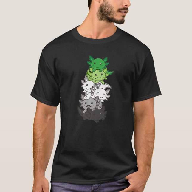 Camiseta Sinalizador Aromântico Sem Orgulho de Gênero Lgbtq (Frente)