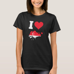 Camiseta Sinalizador Cingapura I Love Cingapura