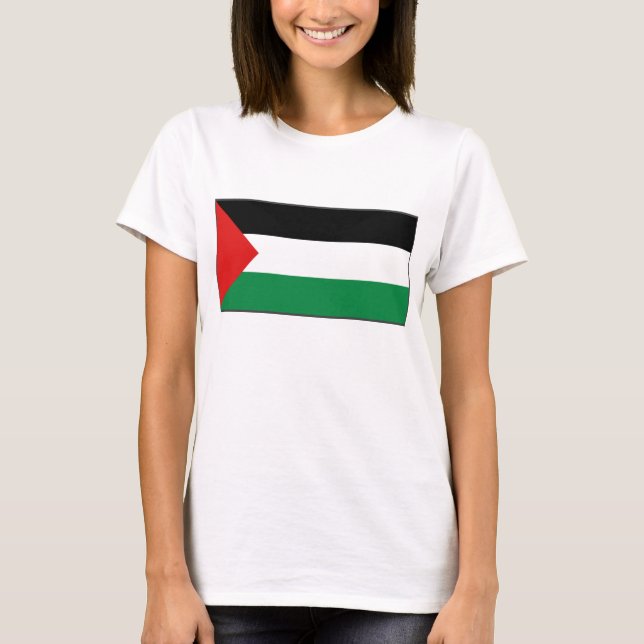 Camiseta Sinalizador da Palestina x Mapa T-Shirt (Frente)