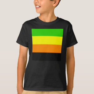 Camiseta Sinalizador do Orgulho Aromântico de Queda