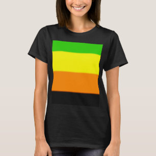 Camiseta Sinalizador do Orgulho Aromântico de Queda