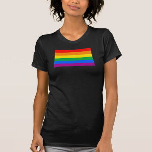 Camiseta Sinalizador do Orgulho LGBT/Sinalizador do Arco-Ír
