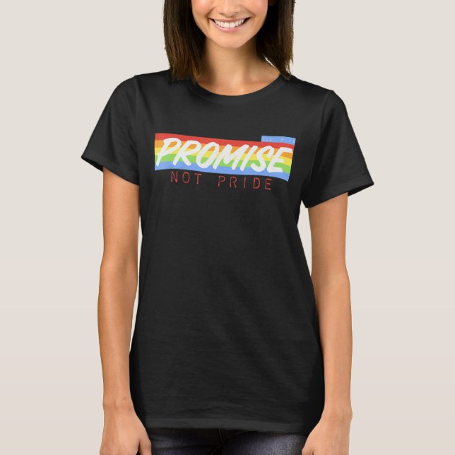 Camiseta Sinalizador Gay LGBT Promise Not Orgulho (Frente)