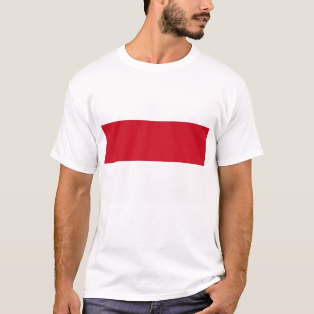 Camiseta Sinalizador Mônaco (Frente)