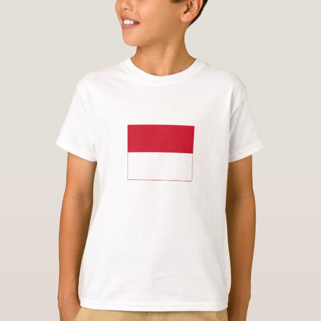 Camiseta Sinalizador Mônaco (Frente)