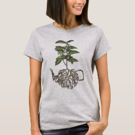 Camiseta Sinensis da camélia - planta de chá