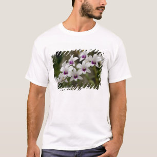 Camiseta Singapura (Sânscrito para Cidade do Leão). Naciona