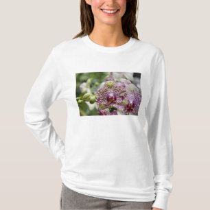 Camiseta Singapura (Sânscrito para Cidade do Leão). Naciona