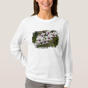 Camiseta Singapura (Sânscrito para Cidade do Leão). Naciona