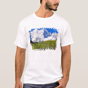 Camiseta Sinos Maroon com floresta de álamos no outono.