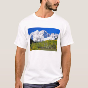 Camiseta Sinos Maroon com floresta de álamos no outono.