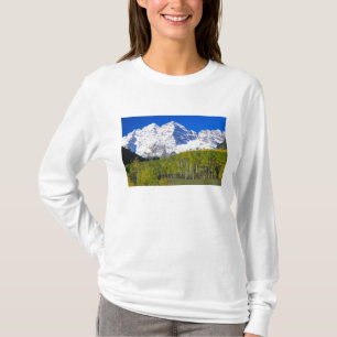 Camiseta Sinos Maroon com floresta de álamos no outono.
