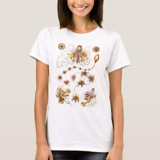 Camiseta Siphonophorae Ernst Haeckel Fine Art