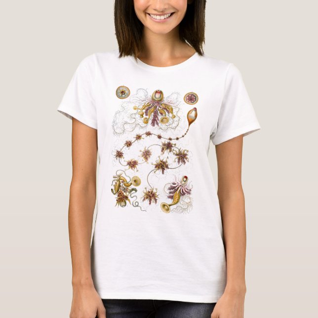 Camiseta Siphonophorae Ernst Haeckel Fine Art (Frente)