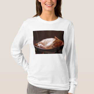 Camiseta Sirene o gato