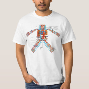 Camiseta Sistema circulatório