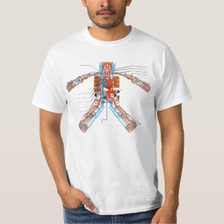 Camiseta Sistema circulatório