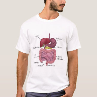 Camiseta Sistema digestivo e etiquetas gastrintestinais