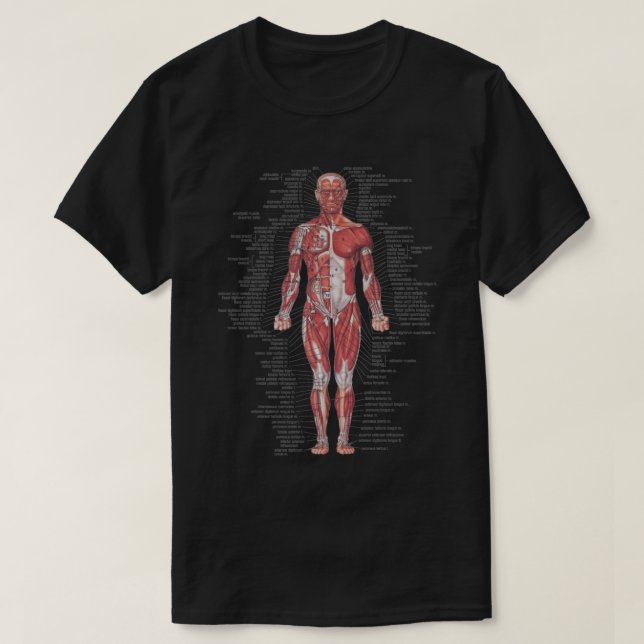 Camiseta Sistema Muscular do Corpo Humano (Frente do Design)