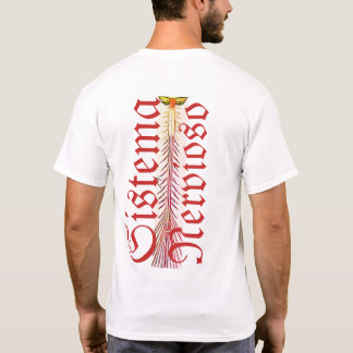 Camiseta sistema nervoso