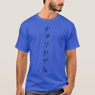 Camiseta Skyrim em Dovahzul Idioma do Dragão Minimalista De