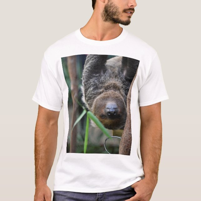 Camiseta Sloth Sang Out Edinburgh Zoo (Frente)