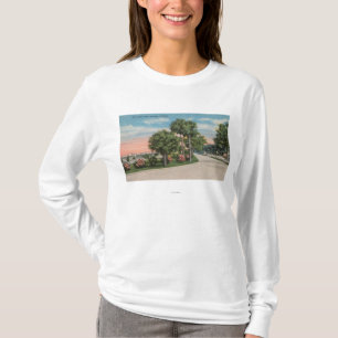 Camiseta Smyrna novo, Florida - opinião da rua do parque d