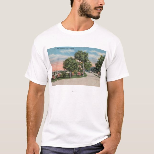 Camiseta Smyrna novo, Florida - opinião da rua do parque da (Frente)