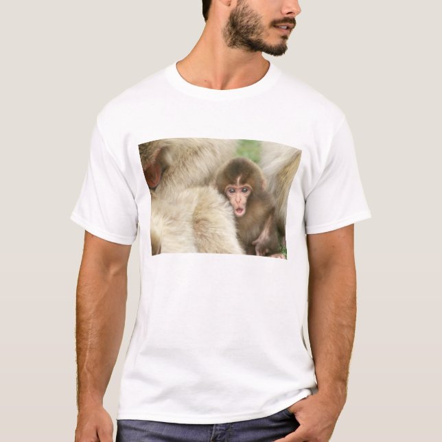 Camiseta Snow Monkey Baby, Jigokudani, Nagano, Japão (Frente)