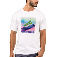 Snowboard rezando mantis rezando por inseto de nev