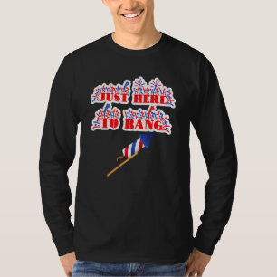Camiseta Só Aqui Para Bang Fireworks 4 De Julho Pun Meme