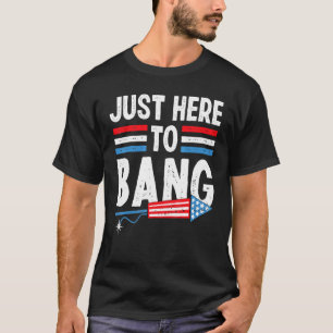 Camiseta Só estou aqui para pegar 4 de julho, garotas