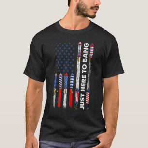 Camiseta Só estou aqui para pegar fogos de artifício 4 de j