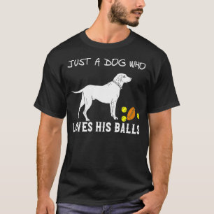 Camiseta Só Um Cachorro Que Ama As Bolas Jogando Labrador R
