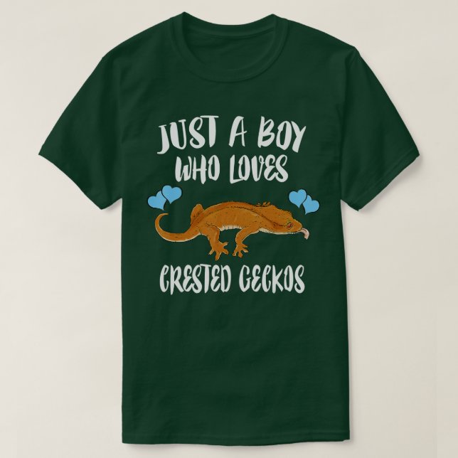 Camiseta Só Um Menino Que Adora Geckos Deitados Ok Pet Liza (Frente do Design)
