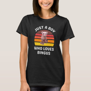 Camiseta Só um menino que ama o gato Sphynx sem cabelo Bing