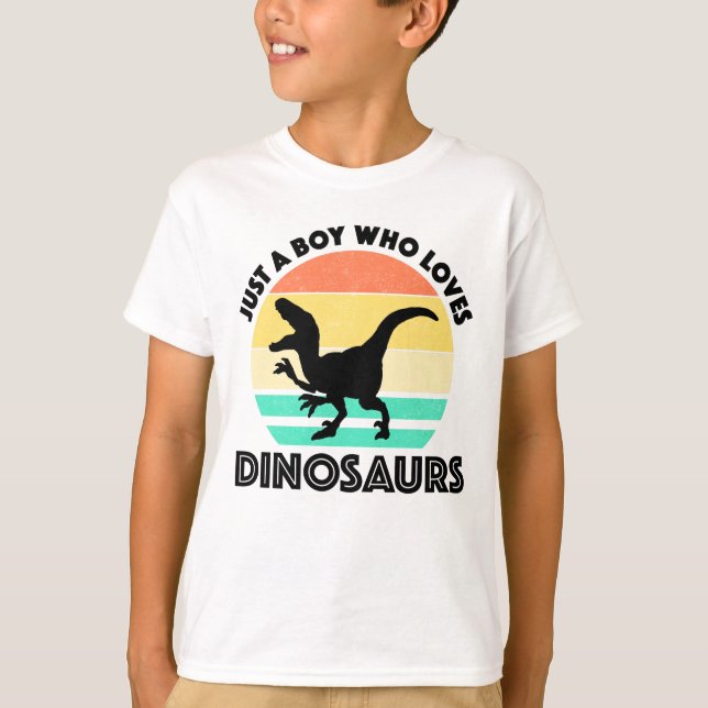 Camiseta Só Um Rapaz Que Adora Dinossauros (Frente)