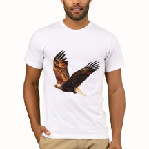 Soberano Céu: Águia Majestosa