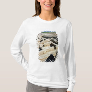 Camiseta Sobras das casas