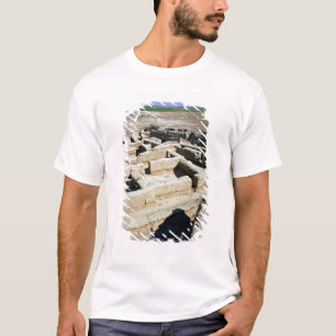 Camiseta Sobras das casas