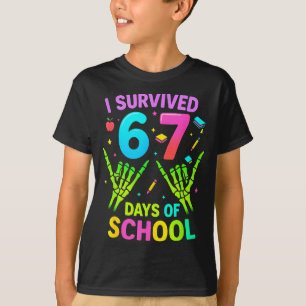 Camiseta Sobrevivi a 67 Dias de Escola Piada Meme Professor