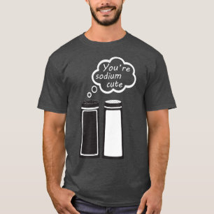 Camiseta Sódio Química Fofa Amor Sal e Pimenta Casal 